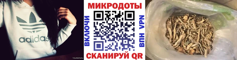 Купить где  Сычёвка  Псилоцибиновые грибы мицелий 